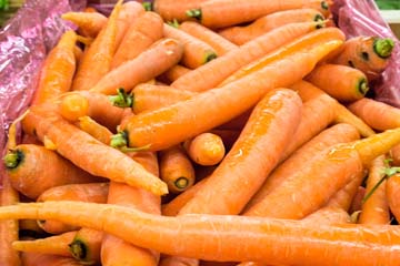 les carottes